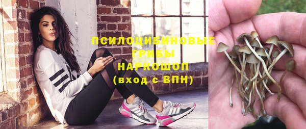 марки nbome Кукмор