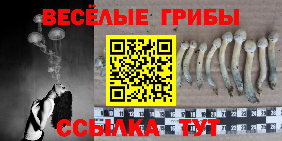 где продают   Ханты-Мансийск  Псилоцибиновые грибы MAGIC MUSHROOMS 