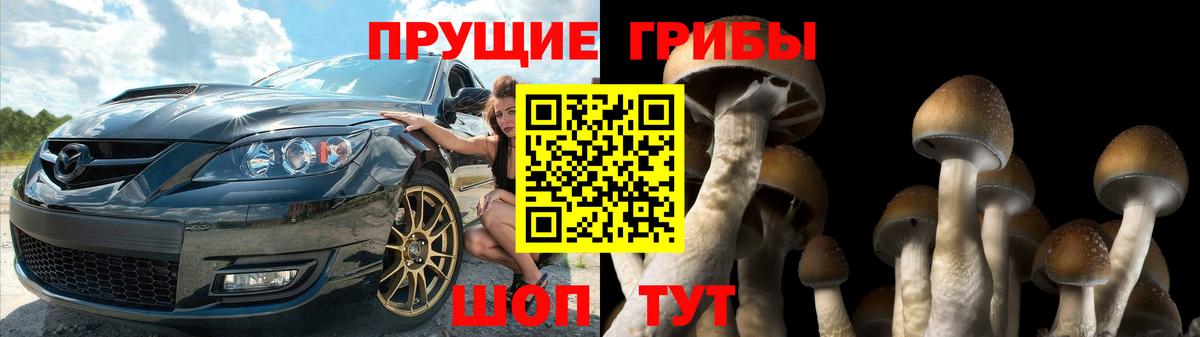 Псилоцибиновые грибы прущие грибы Ханты-Мансийск